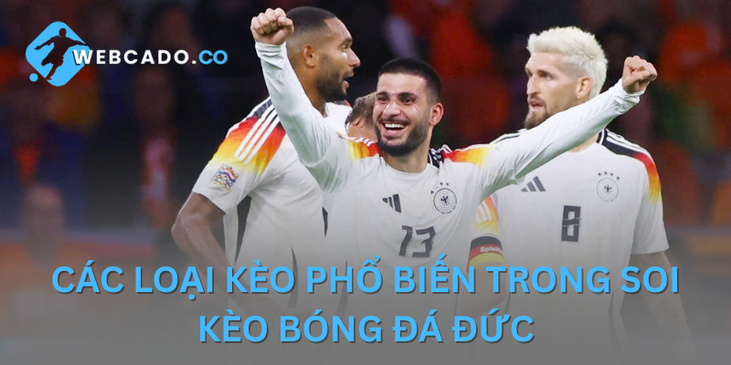 Những loại hình soi kèo bóng đá Đức được ưa chuộng
